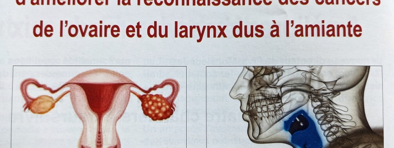Ovaire - Larynx : un nouveau tableau de maladie professionnelles amiante vient d'être publié au journal officiel